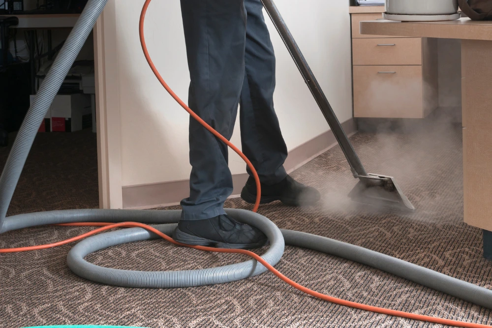 Carpet Steam Cleaner