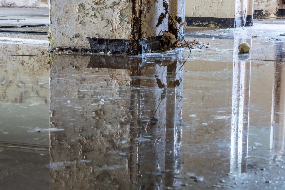 Water Restoration