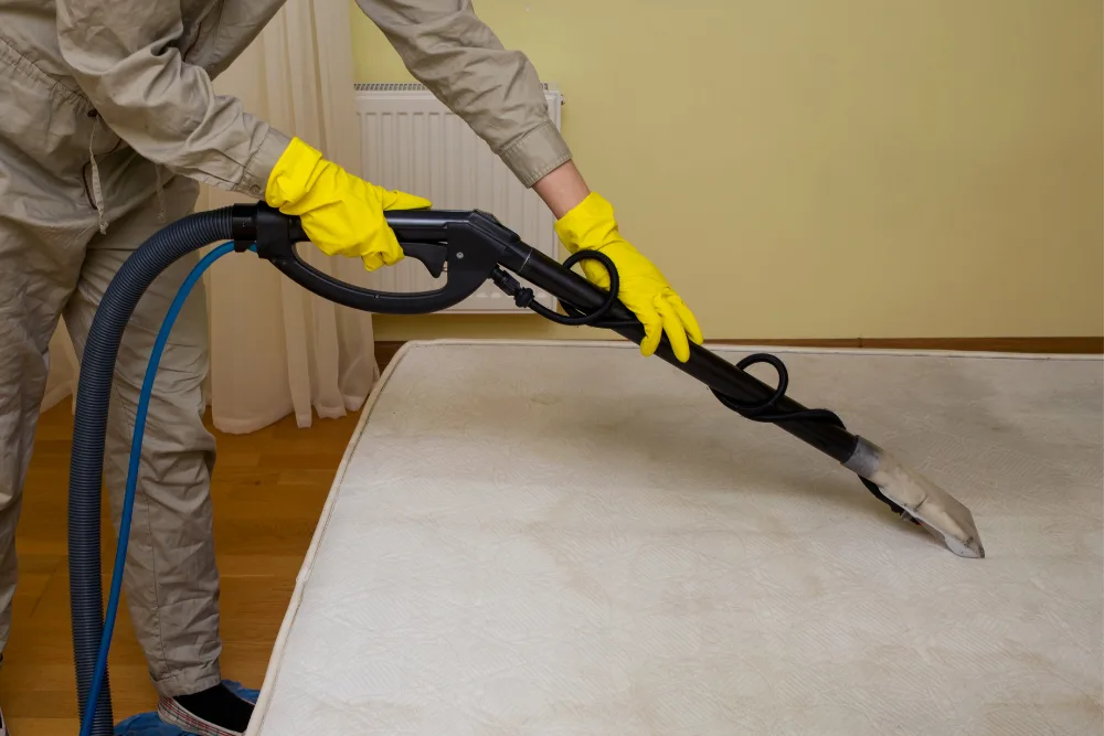 Mattress Cleaning