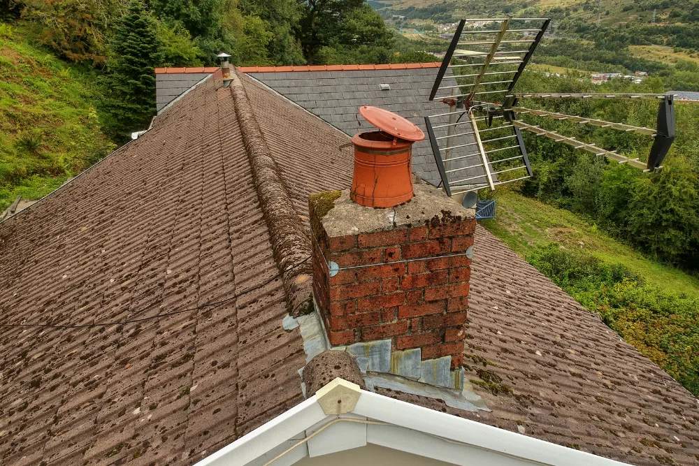 Chimney Inspection