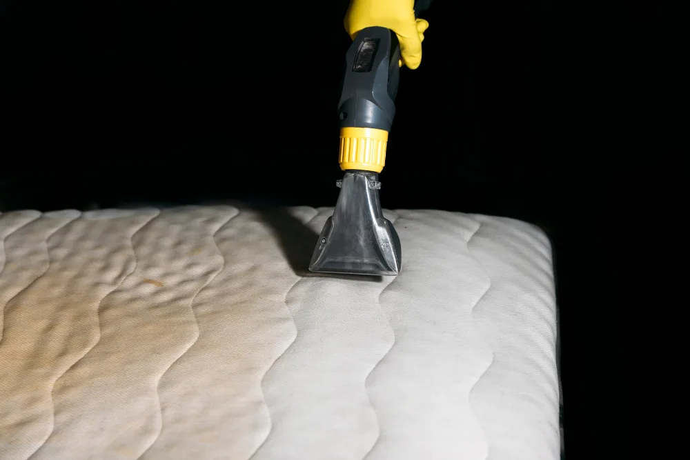Mattress Cleaning
